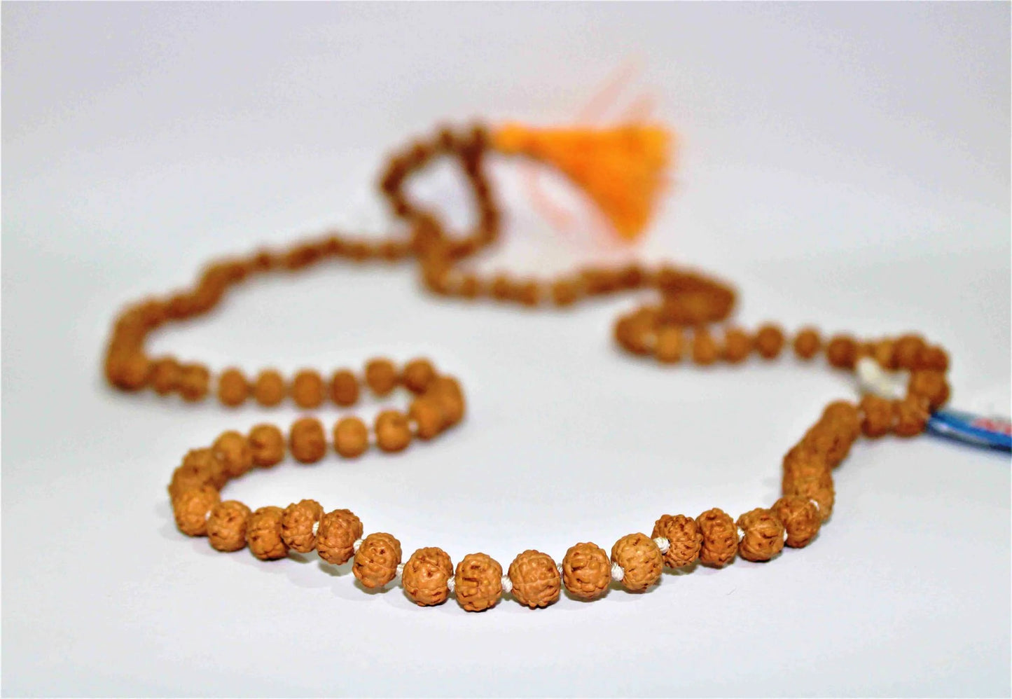 6 Mukhi/Face Rudraksha Mala