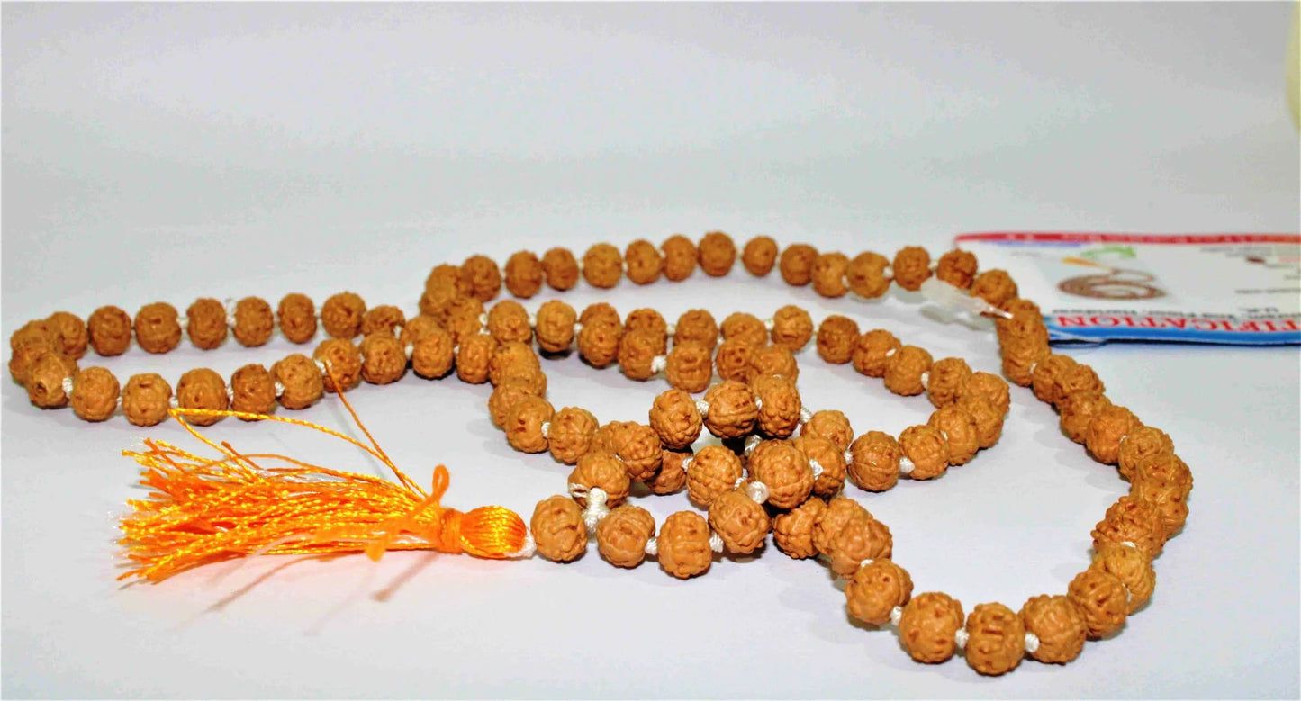 6 Mukhi/Face Rudraksha Mala