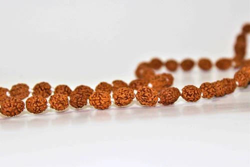 6 Mukhi/Face Rudraksha Mala