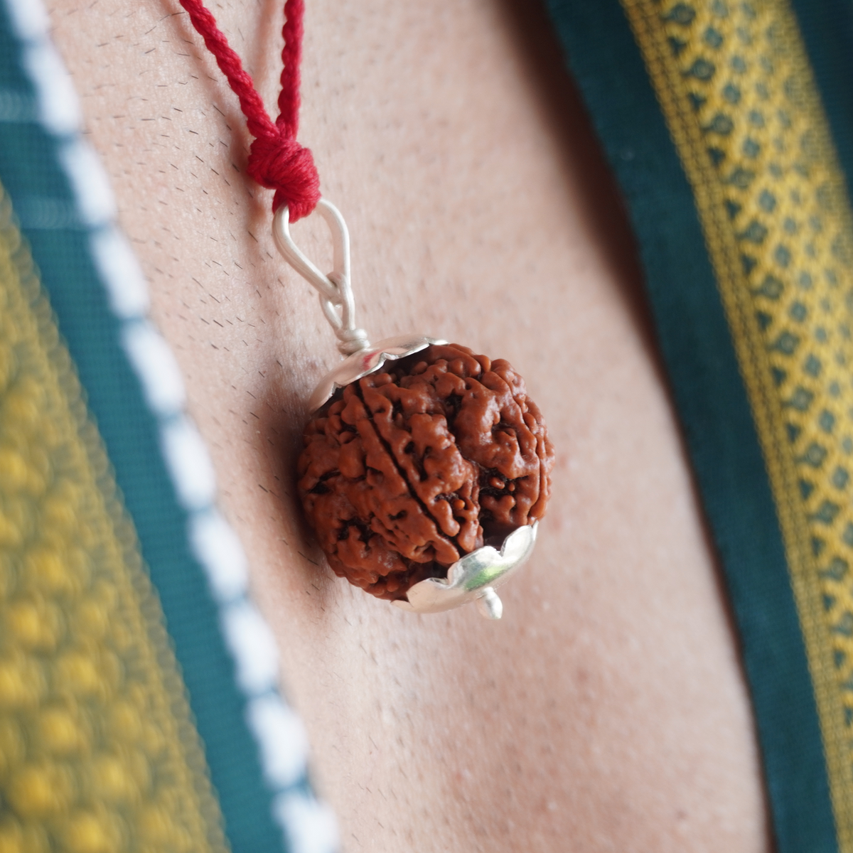 Red Thread 5 Mukhi Rudraksha pendant close up