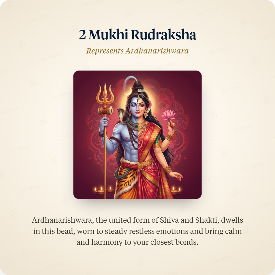 Red Thread 2 Mukhi Rudraksha represents Ardhanarishwara