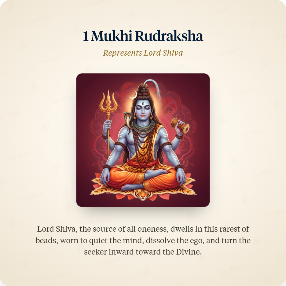 Silver Chain 1 Mukhi Rudraksha represents Lord Shiva