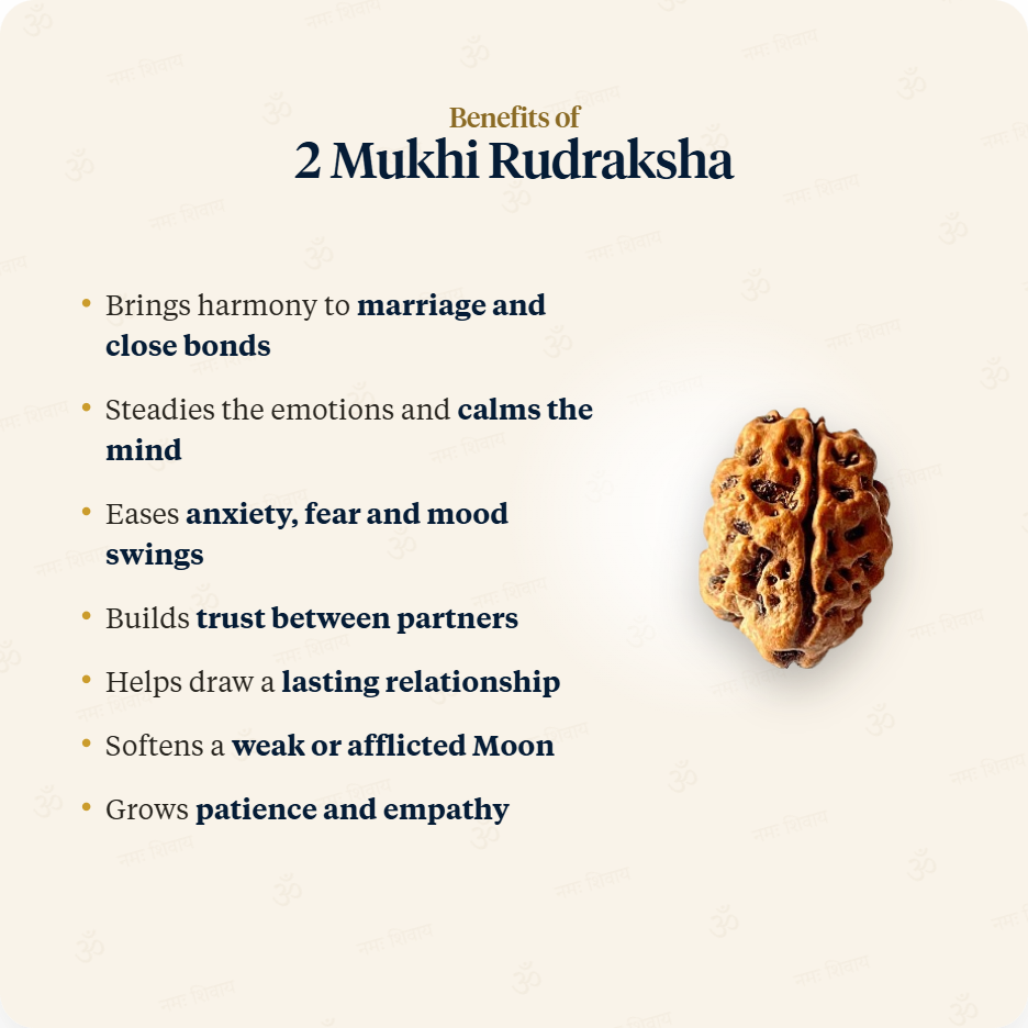 Red Thread benefits of 2 Mukhi Rudraksha