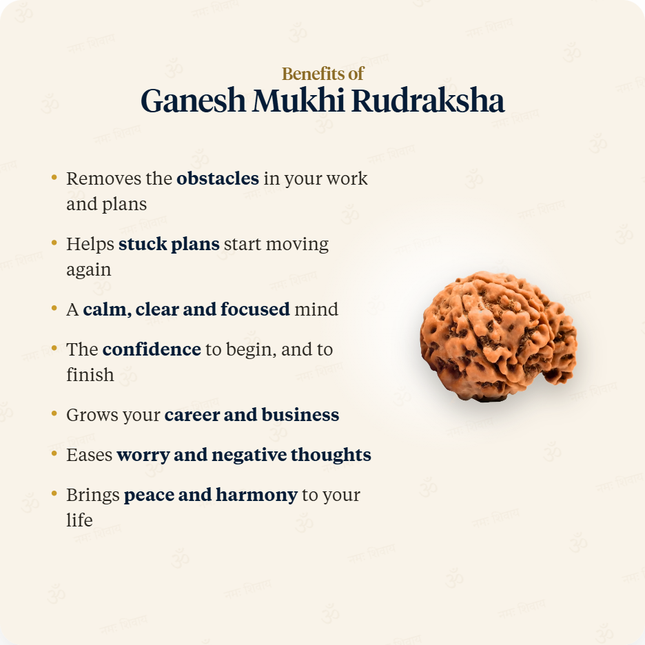 Benefits of Ganesh Mukhi Rudraksha