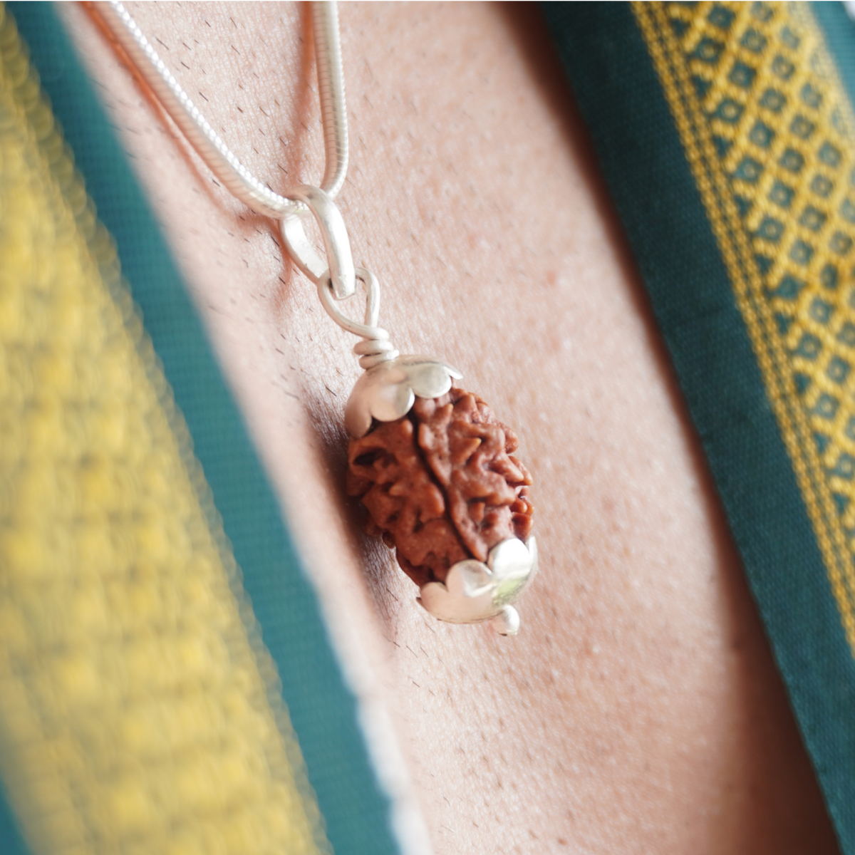 Silver Chain 2 Mukhi Rudraksha pendant close up