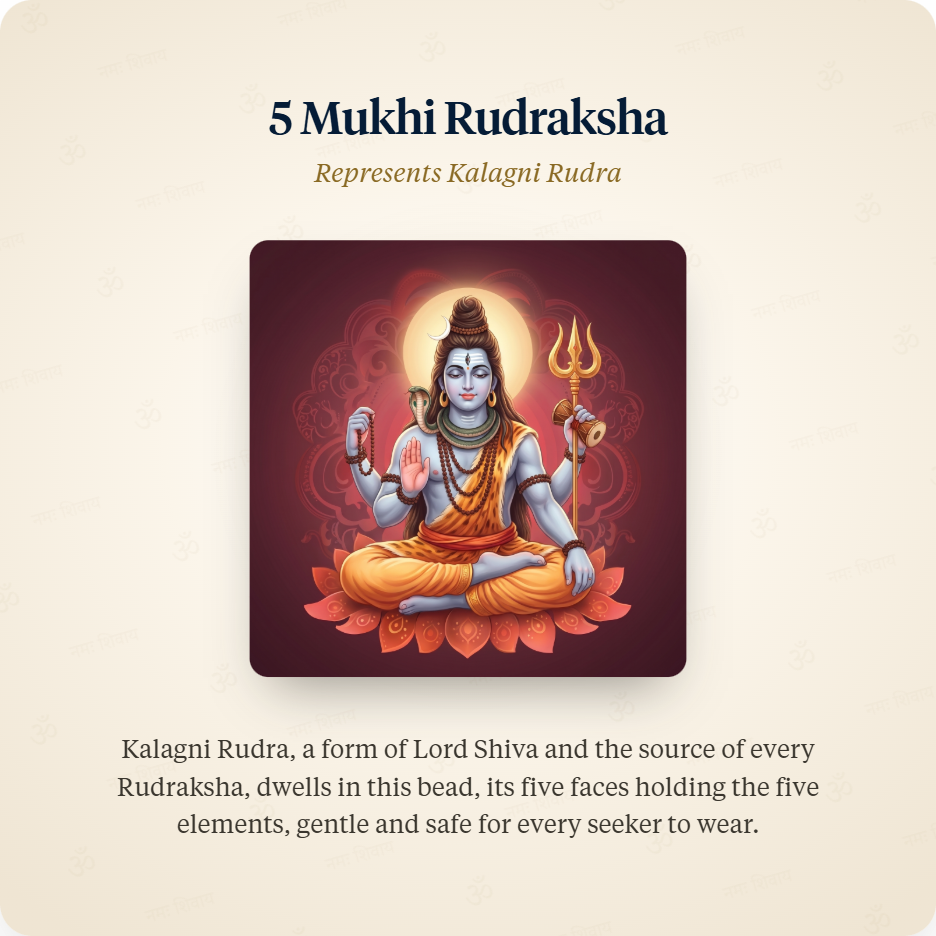 Silver Chain 5 Mukhi Rudraksha represents Kalagni Rudra