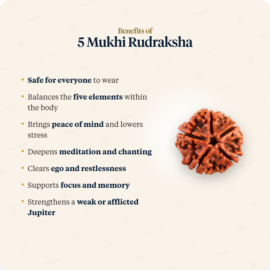 Silver Chain benefits of 5 Mukhi Rudraksha