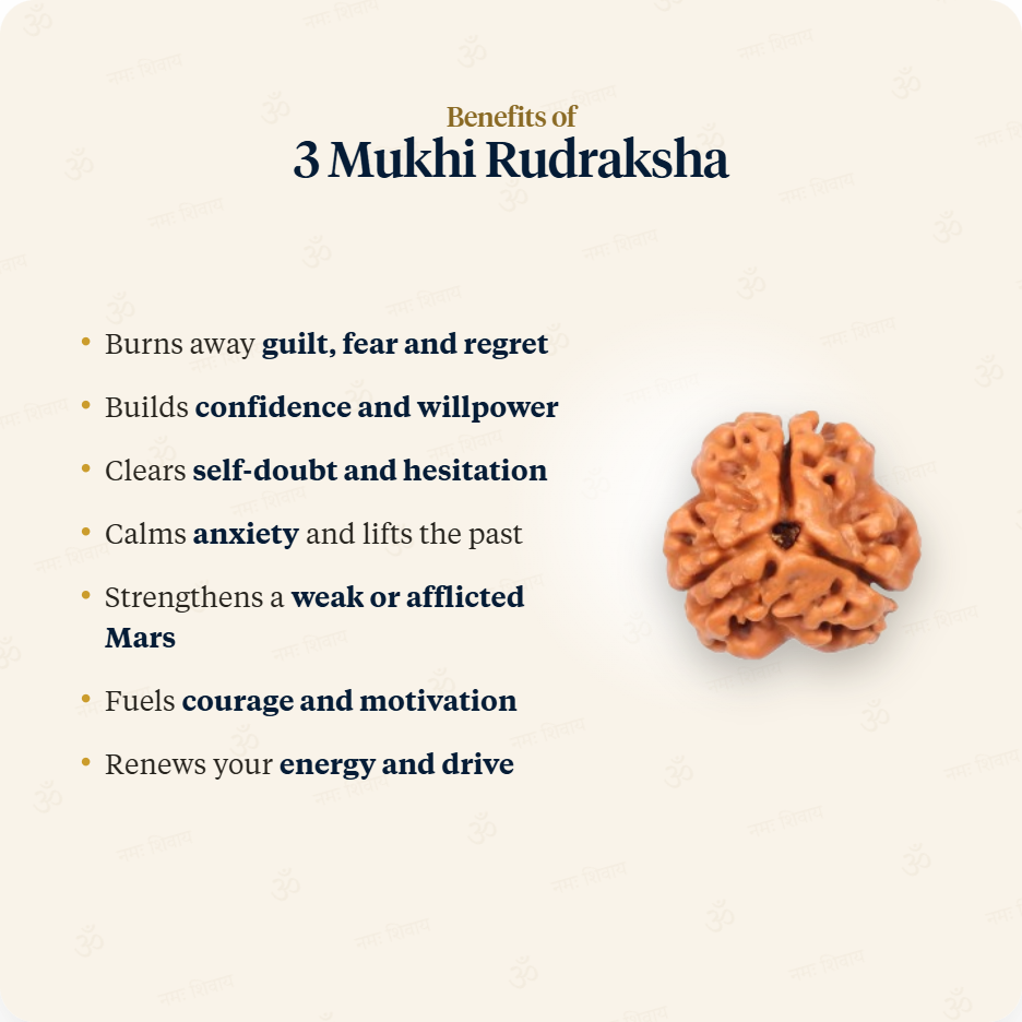 Silver Chain benefits of 3 Mukhi Rudraksha