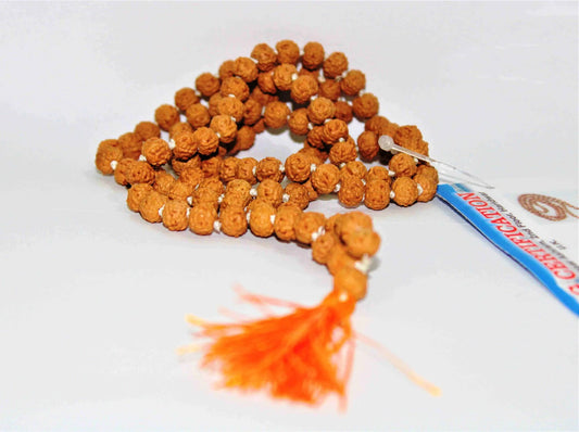 6 Mukhi/Face Rudraksha Mala