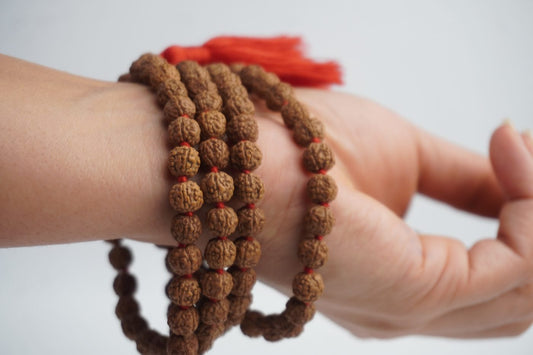 Rudraksha Jaap & Dharan Mala · Regular