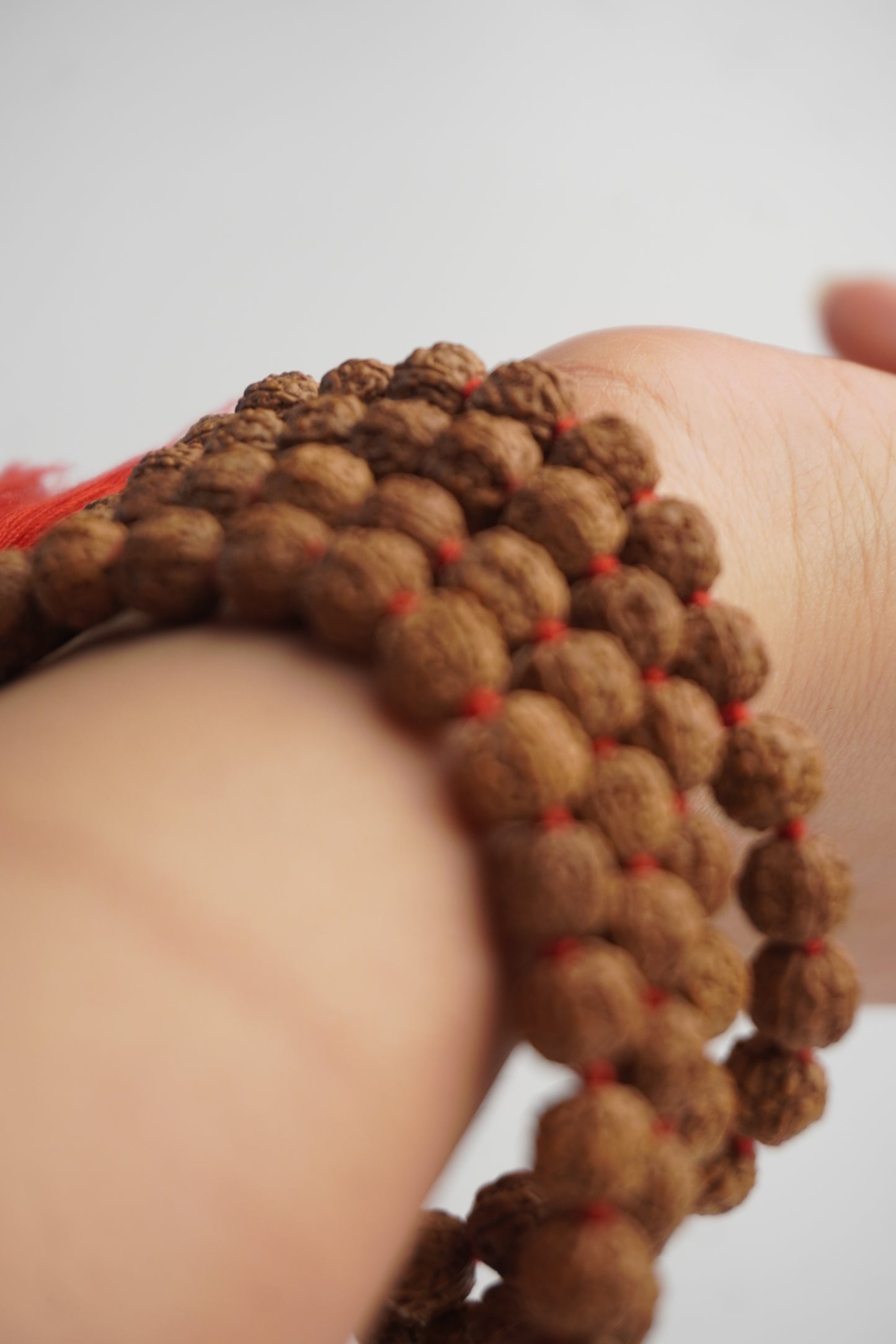 Rudraksha Jaap and Dharan Mala, worn view