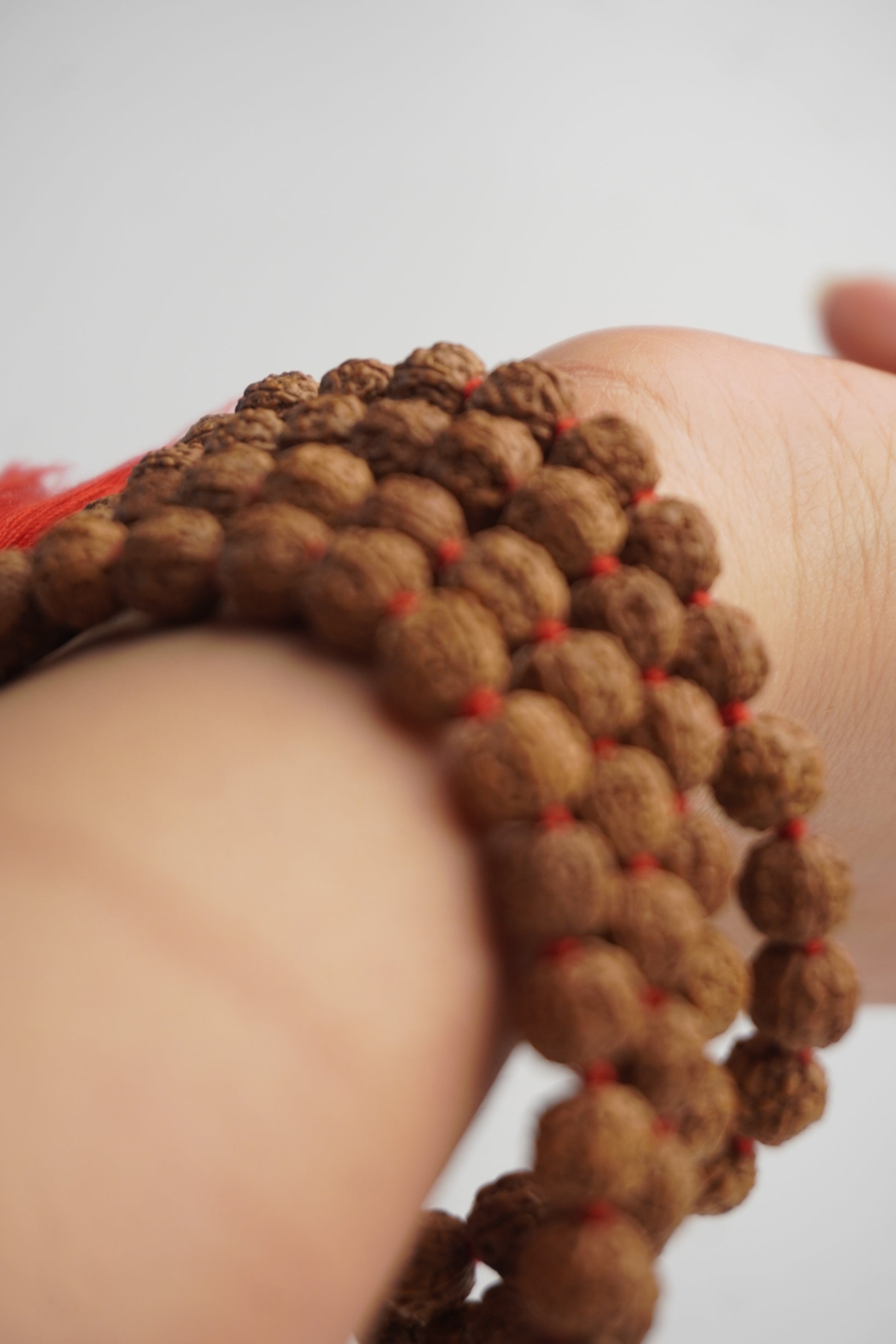 Rudraksha Jaap and Dharan Mala, worn view